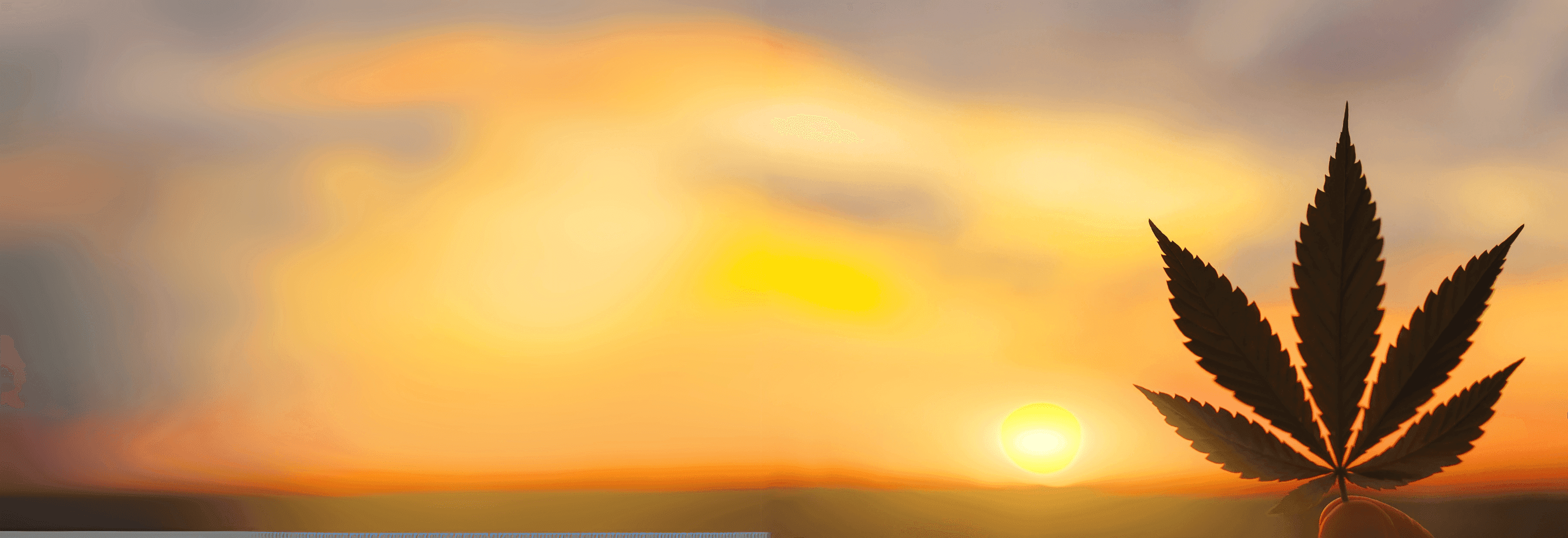 Cannabis Blatt vor Sonnenuntergang